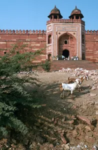 Cupola Prints: Buland Darwaza, Fatehpur Sikri, Agra, Uttar Pradesh, India