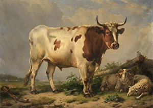 Horns Prints: Bull, 1847. Creator: Eugene Verboeckhoven