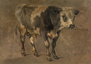 Animal Marking Prints: Bull, c1870s. Creator: Andre Plumot
