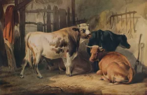 Emrose And Prints: A Bull and three Cows in a Stable, c1856. Artist: Thomas Sidney Cooper