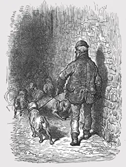 Bull Dog Prints: Bull Dogs, 1872. Creator: Gustave Doré