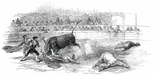 Horns Prints: Bull-Fight at Madrid - Accident to Montes, the Matador, 1850. Creator: Unknown