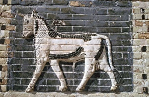 Babylonia Collection: Bull, glazed bricks, Ishtar Gate, Babylon, Iraq