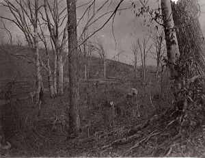 Bull Run Prints: Bull Run, Virginia, 1861-62. Creator: George N. Barnard