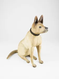 Bull Terrier, 1875 / 1900. Creator: Unknown