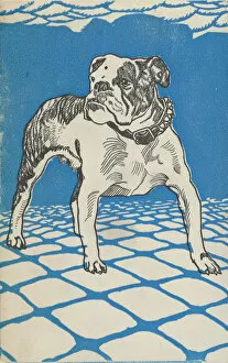 Burger Collection: Bulldog, 1912. Creator: Moritz Jung