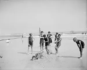 Bulldog on the beach, between 1900 and 1910. Creator: Unknown