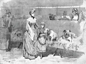 Dog Show Prints: Among the Bulldogs at the Kennel Club Show, 1886. Creator: Unknown