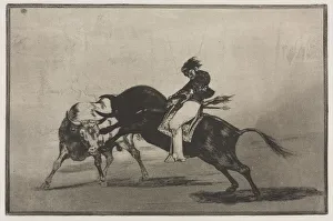 Bullfights: The Same Ceballos Mounted on Another Bull Breaks Short Spears in the Ring…