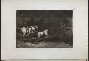 Bullfights: Mariano Ceballos, Alias the Indian, Kills the Bull From his Horse, 1876
