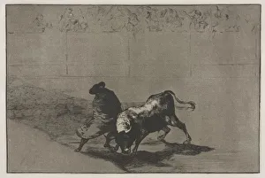 Bullfights: The Very Skilful Student of Falces, Wrapped in his Cape, Tricks the Bull