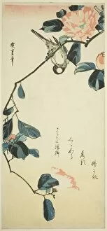 Bullfinch on camellia branch, early 1830s. Creator: Ando Hiroshige