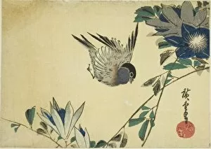 Bullfinch Gallery: Bullfinch and clematis, 1830s. Creator: Ando Hiroshige