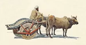 Ah Hallam Murray Gallery: A Bullock Cart, Jodhpur, c1880 (1905). Artist: Alexander Henry Hallam Murray