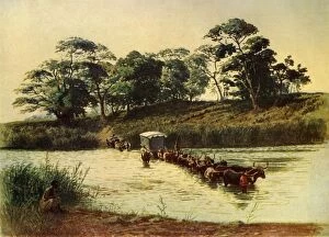 Bullock Waggon Crossing a Drift on the Umbelois River-Swaziland, 1902. Creator: Donald McCracken