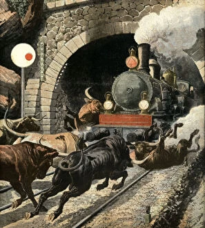 Bulls attacking a passengers train, in Cercedilla tunnel exit, in the Sierra de Guadarrama