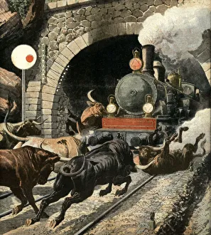 Bulls attacking a passengers train, in Cercedilla tunnel exit, in the Sierra de Guadarrama Bulls attacking a passengers train, in Cercedilla tunnel exit, in the Sierra de Guadarrama