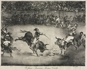1746 1828 Prints: The Bulls of Bordeaux: The Famous American