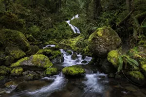 Running Water Gallery: Bunch Falls. Creator: Joshua Johnston
