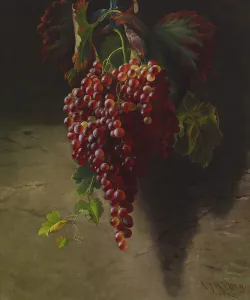 Ripe Prints: Bunch of Grapes, 1873. Creator: Andrew John Henry Way