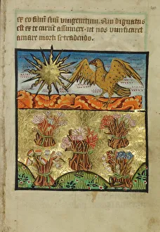 Illumination Painting Prints: Five Bunches of Flowers, about 1190-1200; text added about 1480-1490. Creator: Unknown