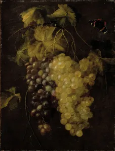 Black Grapes Prints: Two bunches of grapes, 1658-1670. Creator: Thomas van Paep