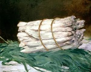 Asparagus Gallery: Bundle of Asparagus, 1880. Artist: Edouard Manet