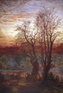 Burnham Beeches, c1841-1902. Artist: Andrew MacCallum