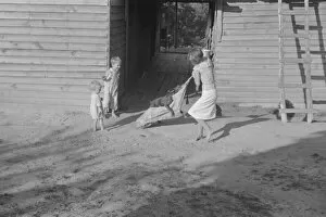 Yard Gallery: Burroughs children playing in the yard, Hale County, Alabama, 1936. Creator: Walker Evans