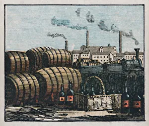 Brewing Gallery: Burton-on-Trent, c1910. Creator: Unknown