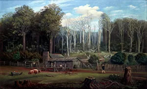 Settlers Prints: A Bush Settler's Home in New Zealand, 1884. Creator: Samuel Stuart