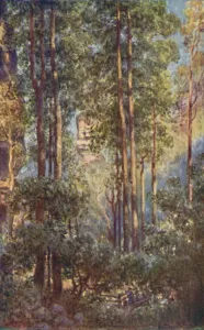 H Clive Prints: A Bush Valley in New South Wales, 1923. Creator: Unknown