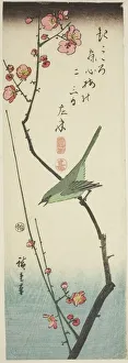 Birdsong Prints: Bush warbler on plum branch, c. 1843/47. Creator: Ando Hiroshige