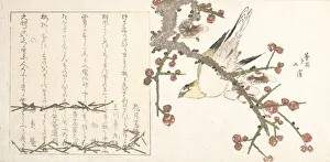 Kyosai Prints: Bush Warbler on a Plum Branch (Ume ni uguisu), early 19th century. Creator: Totoya Hokkei