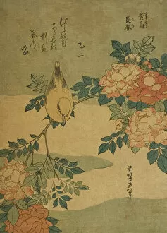 Katsushika Hokusai Gallery: Bush Warbler and Rose (Kocho, bara), from an untitled series of flowers and birds, Japan