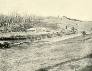 Boundary Prints: Bush Workmans Home, Gippsland, Victoria, 1901. Creator: Unknown