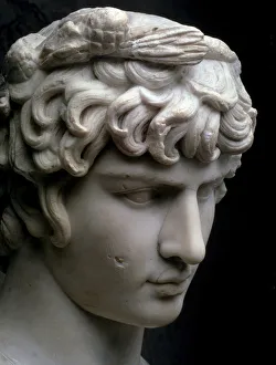 Damaged Prints: Bust of Antinous, mid 2nd century AD