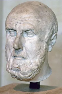 Stoic Prints: Bust of the Greek philosopher Chrysippus