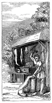 Darwin Prints: Butcher's Shop of the Anziques