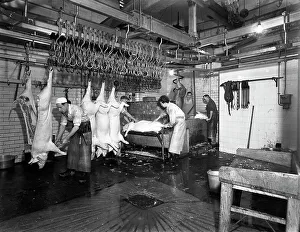 Butchery factory, Rawmarsh, South Yorkshire, 1955. Artist: Michael Walters