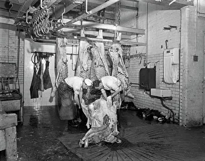 Carcass Prints: Butchery factory, Rawmarsh, South Yorkshire, 1955. Artist: Michael Walters