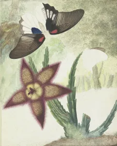Petals Prints: Two butterflies and a five-petalled yellow-purple flower