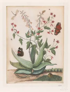 Agave Prints: Butterflies, a snake and a turtle around a blooming agave