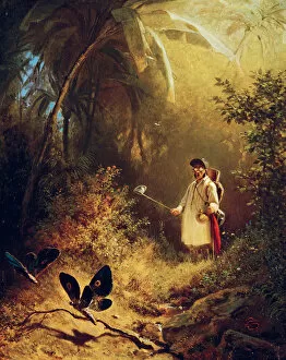 Biedermeier Collection: The Butterfly Hunter, c. 1840
