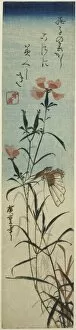 Butterflies Gallery: Butterfly and pinks, mid-1840s. Creator: Ando Hiroshige