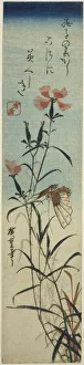 Pinks Prints: Butterfly and pinks, mid-1840s. Creator: Ando Hiroshige