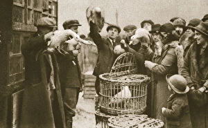 Caledonian Market Gallery: Buying live poultry at a Pedlars Market at the Caledonian Market, London, 20th century