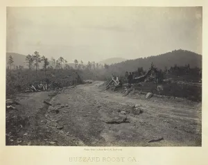 Barnard George Norman Collection: Buzzard Roost, GA, 1866. Creator: George N. Barnard
