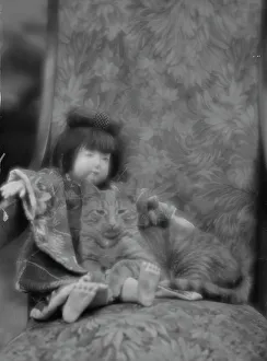 Stripey Prints: Buzzer the cat, portrait photograph, ca. 1912. Creator: Arnold Genthe