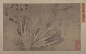 Album Lea Prints: Cabbage and Insects. Creator: Xu Daoguang